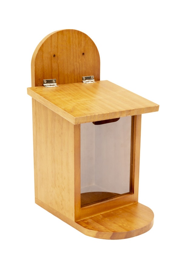 Squirrel Feeder